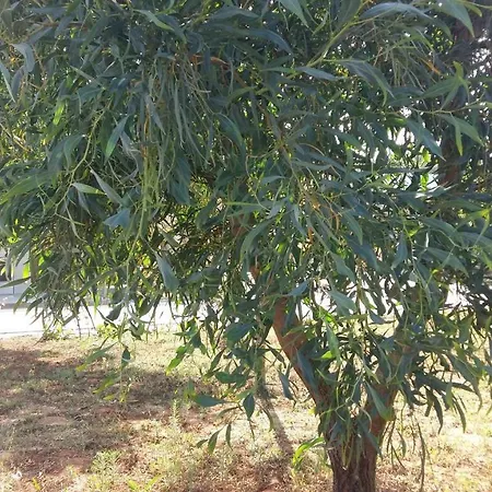 Casetta Con Veranda E Giardino A 150 Metri Dal Mare * Gallipoli